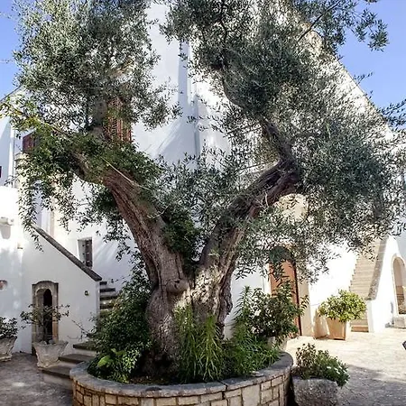 Masseria Don Sante Landhuis Fasano