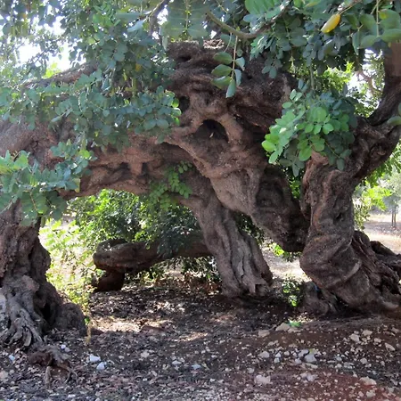 Masseria Don Sante